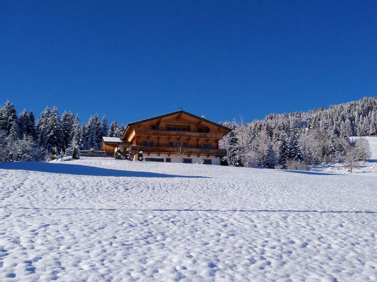 Chalet Apartment Obermanzl Хопфгартен-им-Бриксенталь Экстерьер фото